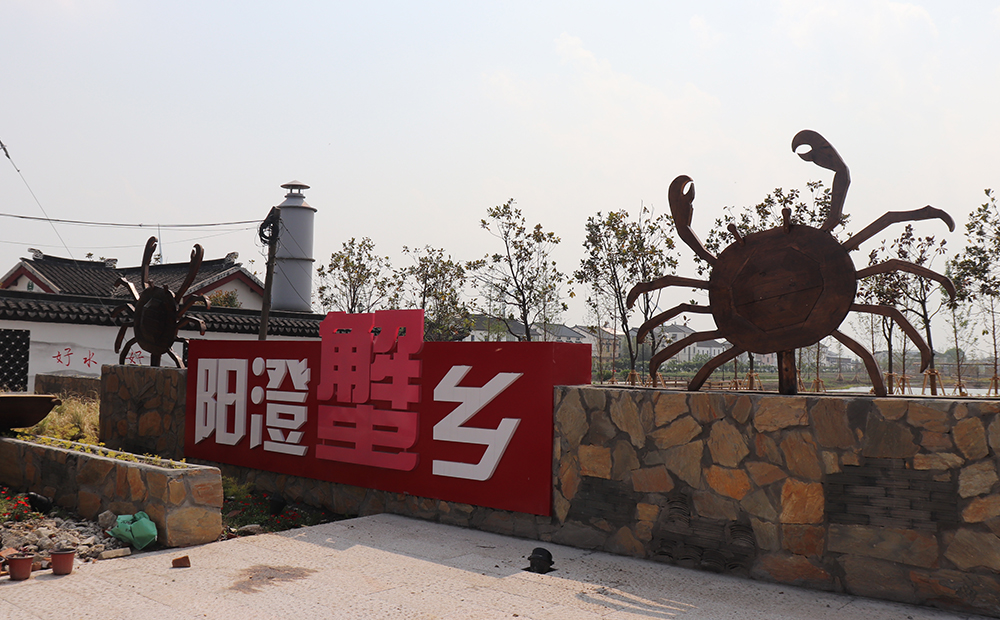 1677729248823327.jpg 陽(yáng)澄湖鎮(zhèn)消涇村現(xiàn)場(chǎng).JPG