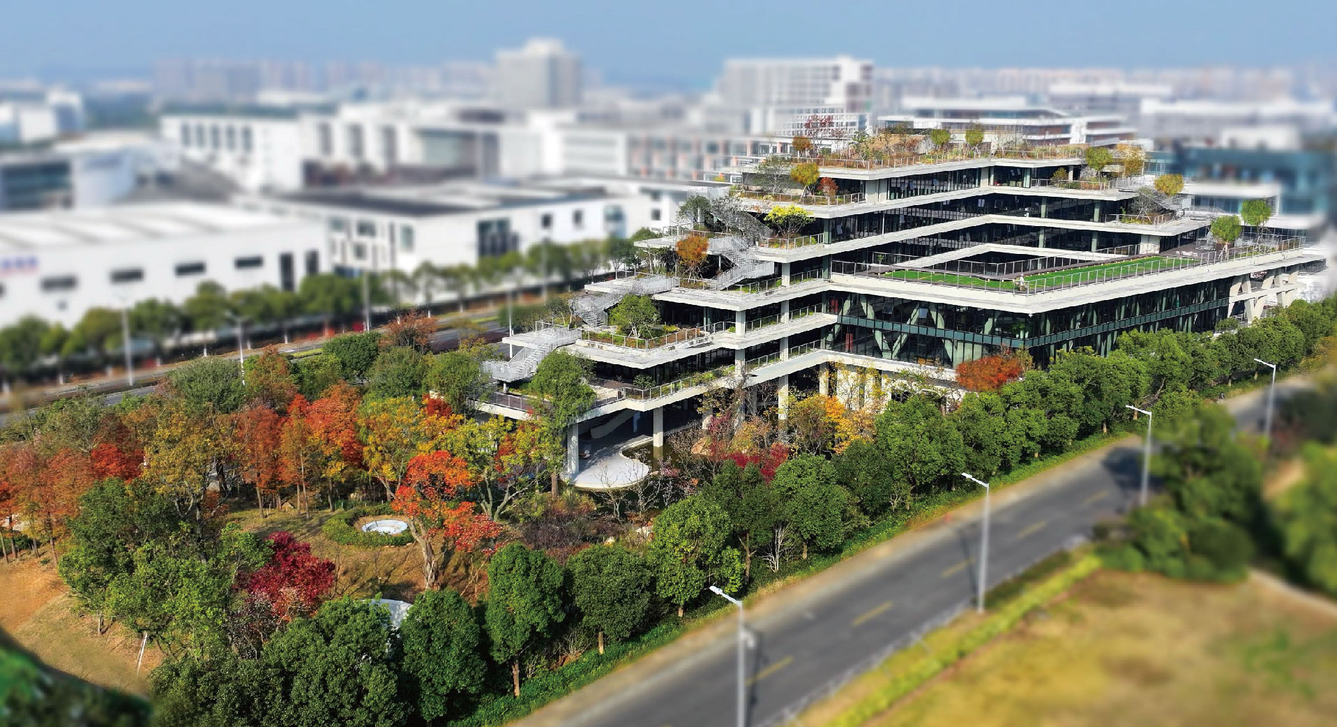 1731482706179743.jpg 未標(biāo)題-1_畫板 1.jpg